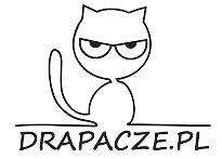 Logo Drapacze.pl